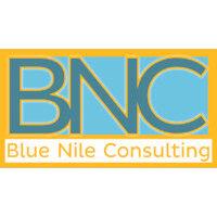 blue nile consulting logo image