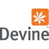 devine limited logo image