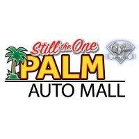 palm automotive group, inc. logo image