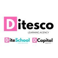 groupe d: ditesco - diteschool - dcapital logo image