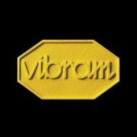 vibram group logo image