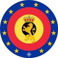 belgian defence logo image