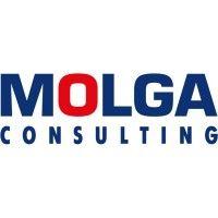 molga consulting logo image