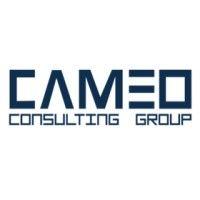 cameo consulting group, llc