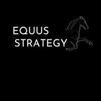 equus strategy llc logo image