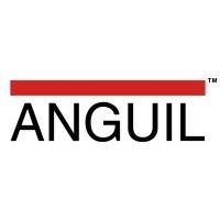 anguil environmental systems, inc. logo image