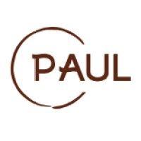 paul chen consulting logo image