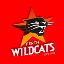 logo of Perth Wildcats