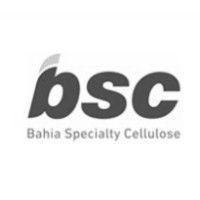 bahia specialty cellulose (subsidiary of bracell limited) logo image