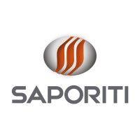 grupo saporiti logo image