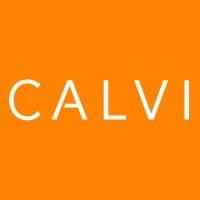 calvi logo image