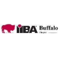 iiba buffalo logo image