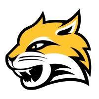 wayne state college logo image