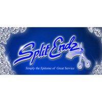 split endz salon logo image