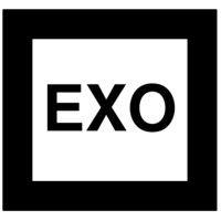 exo management solutions ltd logo image