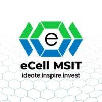 ecell msit logo image