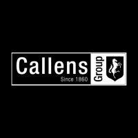 louis callens s.a.s logo image