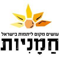 sunflowers - חמניות logo image