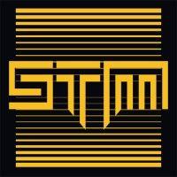 stm cyber logo image