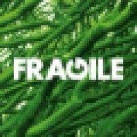 fragile design studio logo image