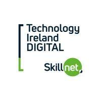 technology ireland digital skillnet logo image