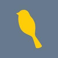 yellowbird