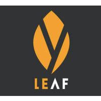 yellow leaf software logo image