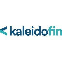 kaleidofin private limited logo image