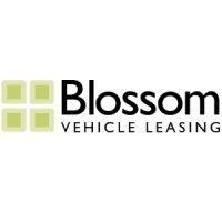 blossom vehicle leasing logo image