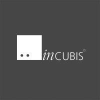 incubis consultants (india) pl logo image