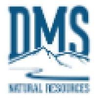 dms natural resources llc logo image