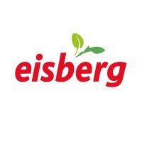 eisberg logo image