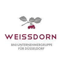 bni weissdorn düsseldorf logo image