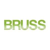 bruss sealing systems gmbh logo image