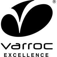 varroc safety and mobility