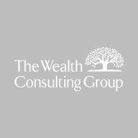 the wealth consulting group