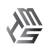 metsim international, llc logo image