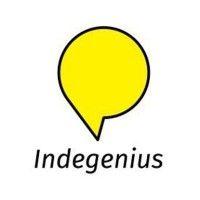 indegenius creative solutions logo image