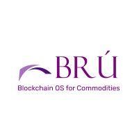 brú finance