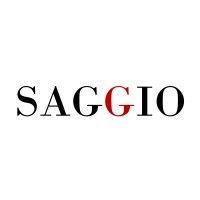 saggio technology logo image