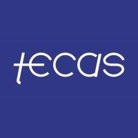 tecas fitout logo image