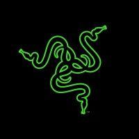 razer inc. logo image