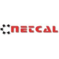 netcal consulting, inc. logo image