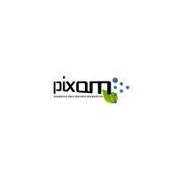 soluciones tecnológicas pixom spa logo image