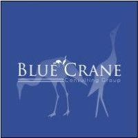 blue crane consulting group logo image