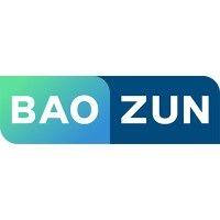 baozun hongkong limited logo image