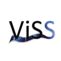 viss, video search systems