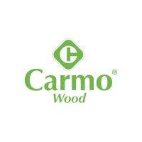 carmo logo image