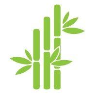 bamboo marketing solutions, llc logo image