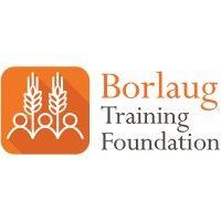 borlaug training foundation logo image